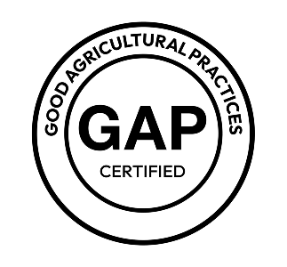 GAP